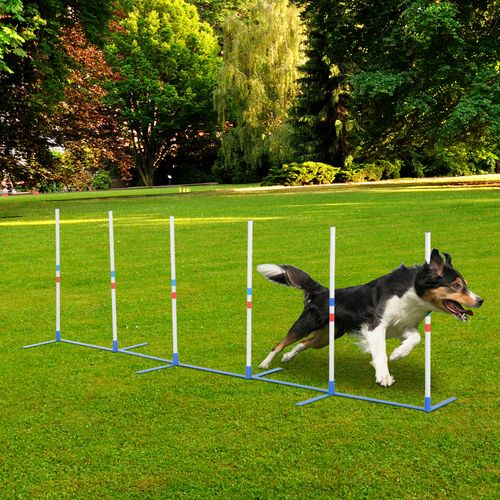 PawHut Dog Weave Pole Set Obedience & Agility Starter Kit Outdoor Training Set