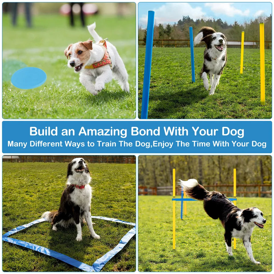 PawHut 5 Piece Dog Agility Equipment Obedience & Obstacle Training Set for Dogs