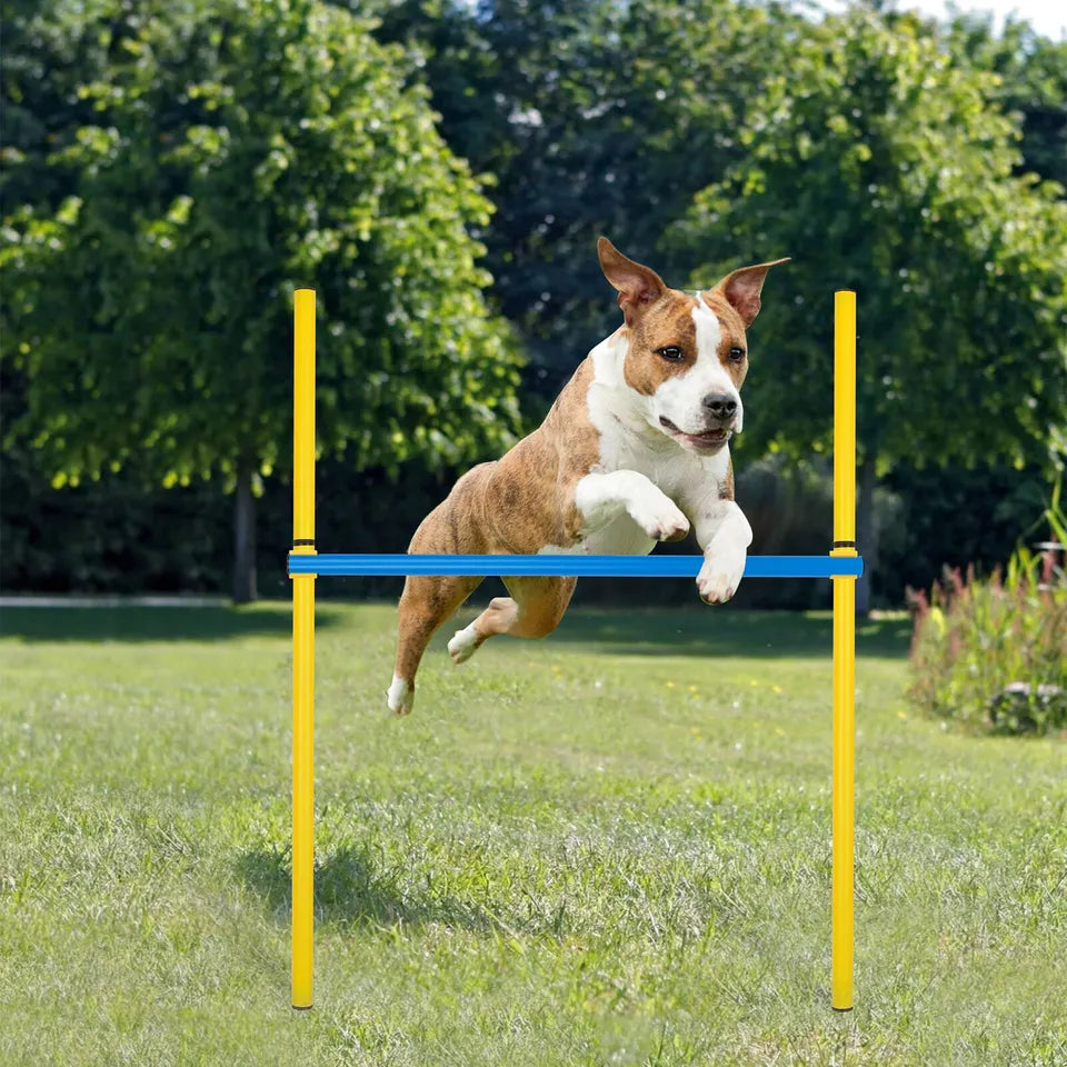 PawHut 5 Piece Dog Agility Equipment Obedience & Obstacle Training Set for Dogs